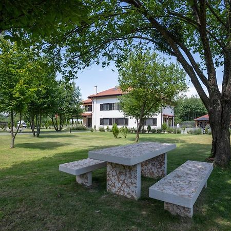 Pensiunea Negoiu Porumbacu de Sus Ngoại thất bức ảnh