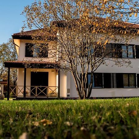 Pensiunea Negoiu Porumbacu de Sus Ngoại thất bức ảnh